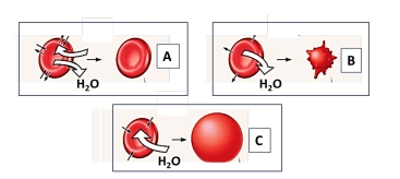 Imagen del ejercicio