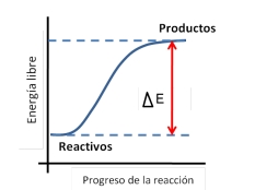 Imagen del ejercicio