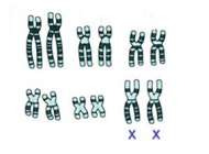 Imagen del ejercicio