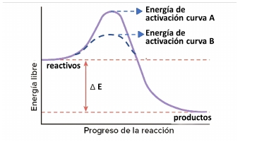 Imagen del ejercicio