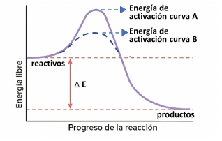 Imagen del ejercicio