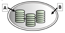 Imagen del ejercicio