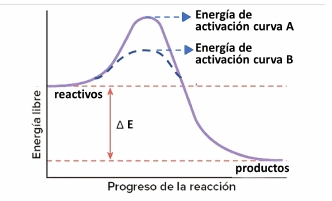 Imagen del ejercicio