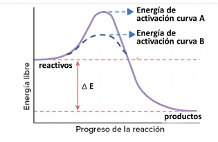 Imagen del ejercicio