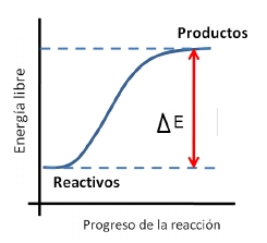 Imagen del ejercicio