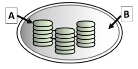 Imagen del ejercicio