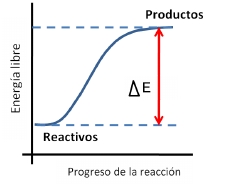 Imagen del ejercicio
