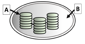 Imagen del ejercicio