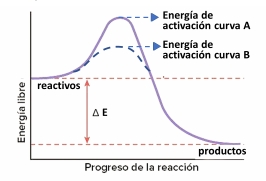 Gráfico de transformación catalizada por enzimas