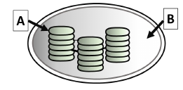 Diagrama de cloroplasto