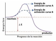 Gráfico de energía de activación