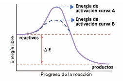 Gráfico de transformación reactivo-producto
