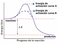 Gráfico de energía de reacción