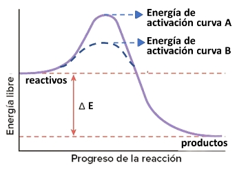 Gráfico de energía libre vs progreso de la reacción