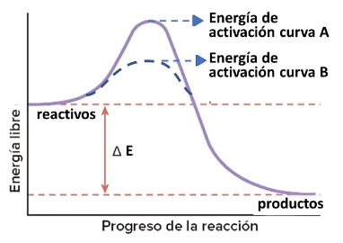 Diagrama de energía de activación
