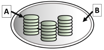 Cloroplasto con zonas A y B
