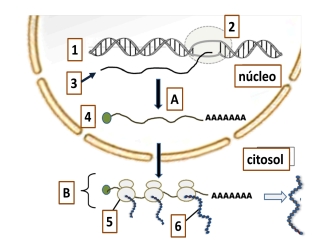 Imagen del ejercicio
