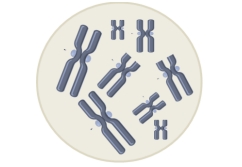 Imagen del ejercicio