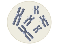 Imagen del ejercicio