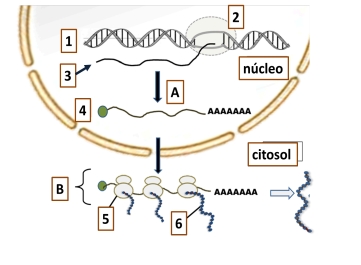 Imagen del ejercicio