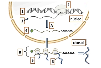 Imagen del ejercicio