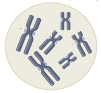 Imagen del ejercicio